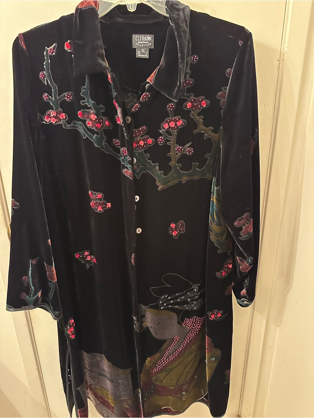 Citron Black Velvet Shirt with Red Embroidered Floral Accents